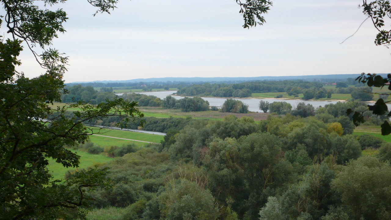 Elbe bei Boizenburg