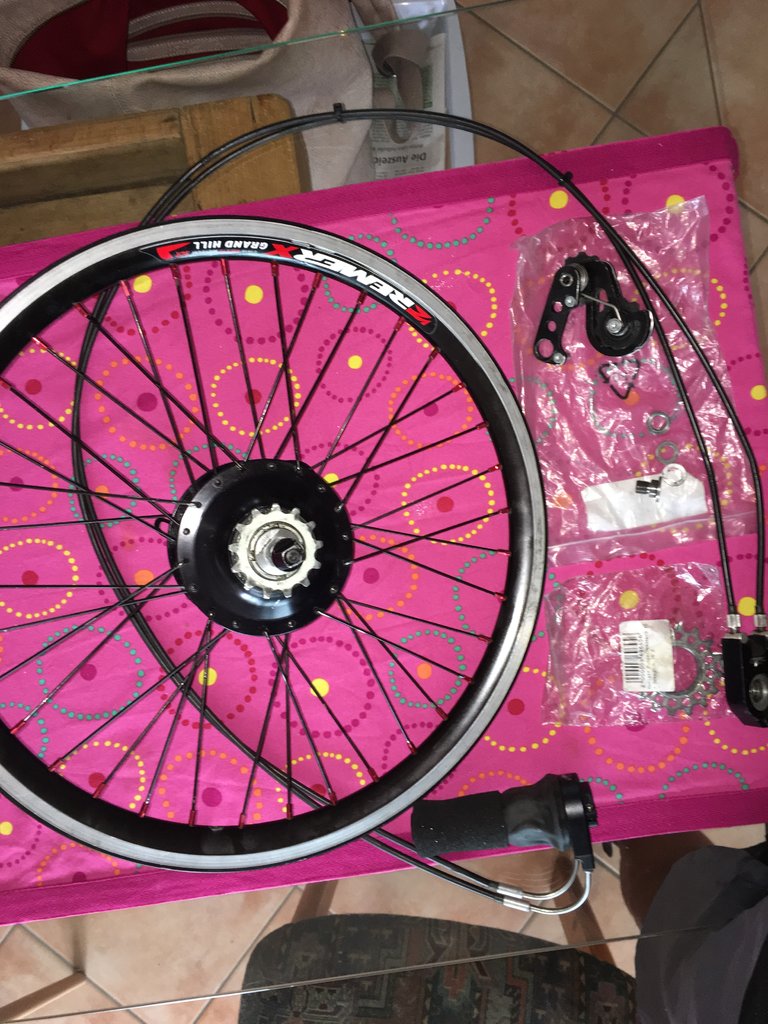 Hinterrad 20" mit Rohloff Speedhub