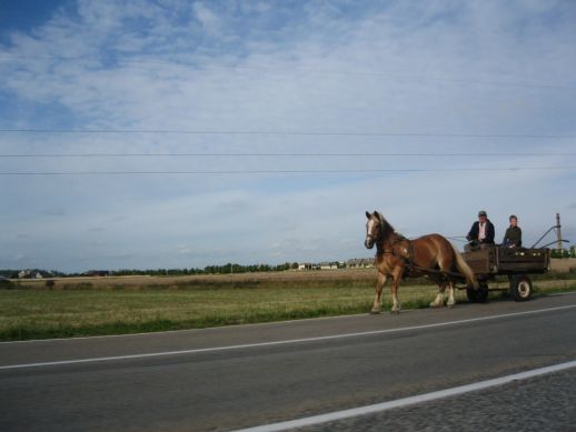 IMG 1047 Litauen Pferdefuhrwerk