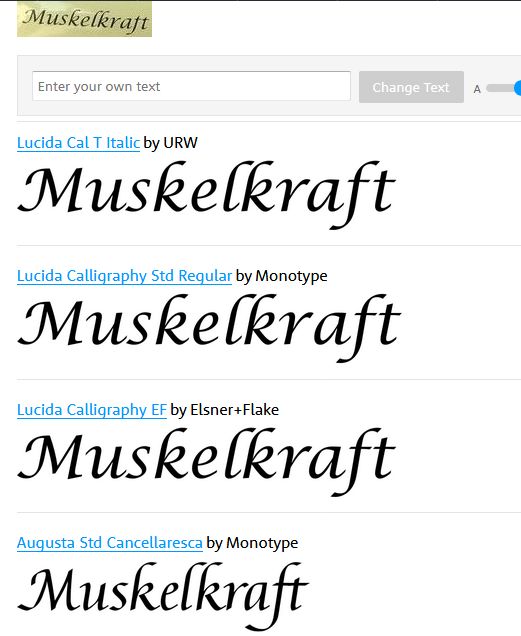 Muskelkraft