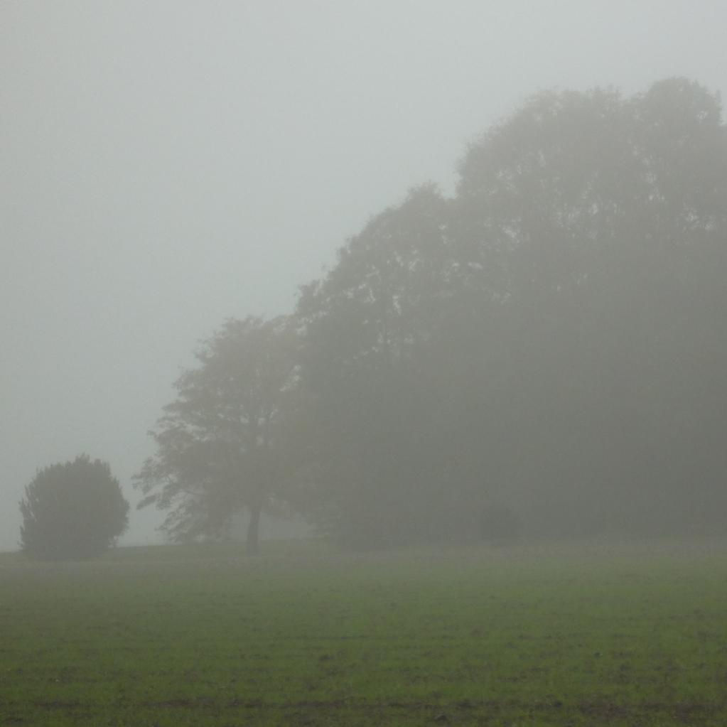 Nein, das ist diesmal kein Morgennebel. Das ist am späten Vormittag bei dichtem Nieselregen.