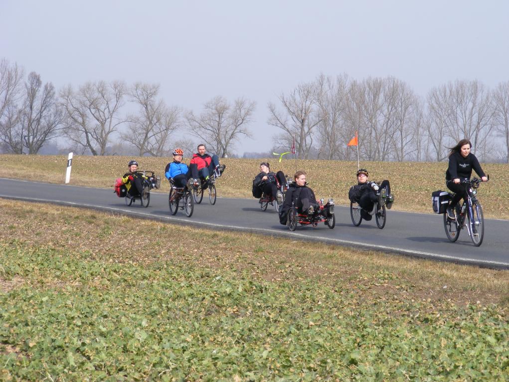 Über die Felder II