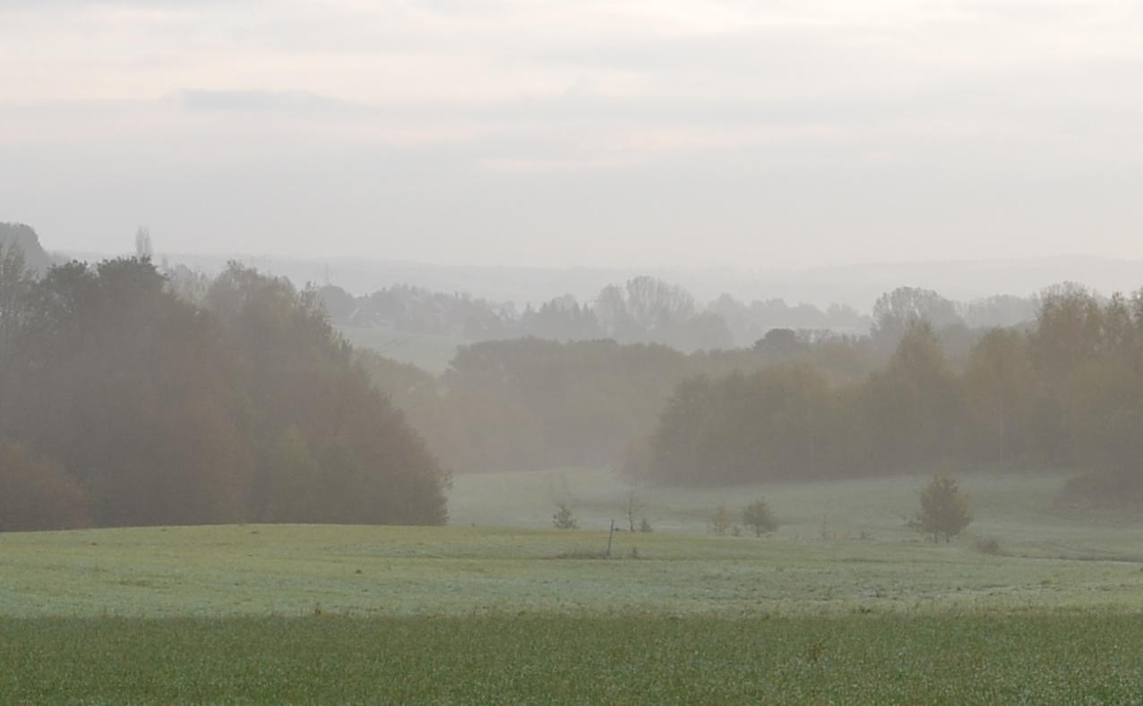 Weg zur Arbeit 4