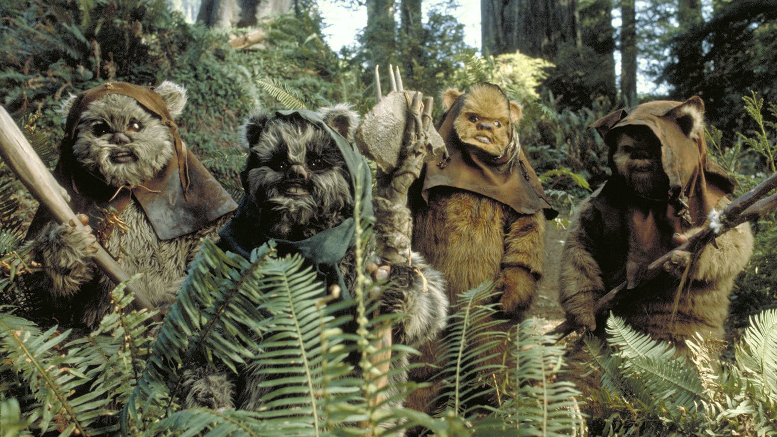 databank_ewok_01_169_747db03a.jpeg