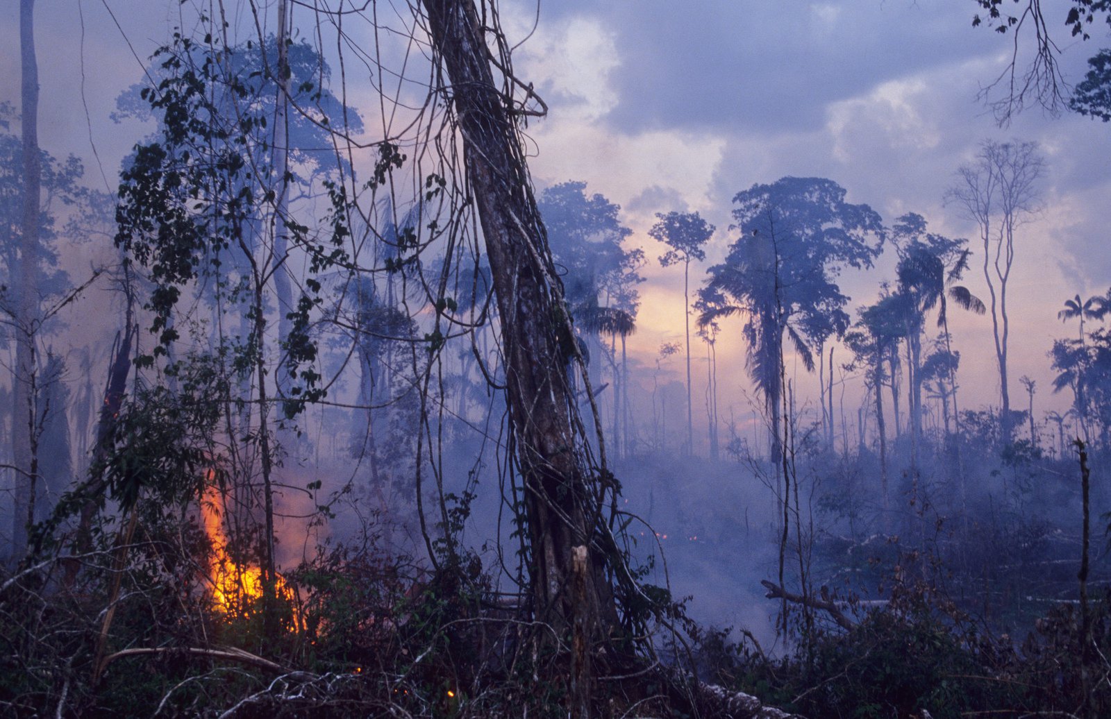 www.smithsonianmag.com