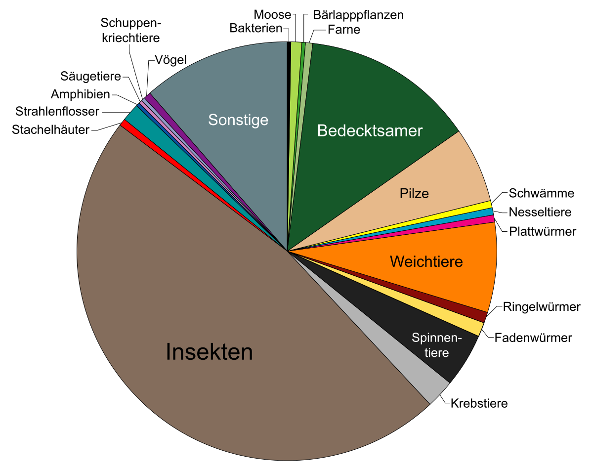 de.wikipedia.org